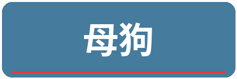 母狗影视传媒Logo